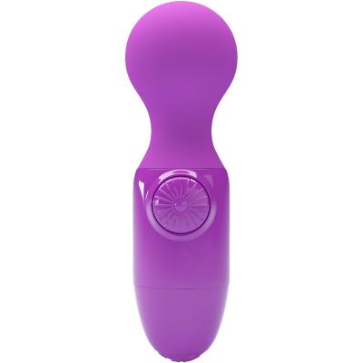 Pretty Love - Lila Mini-Persönliches Massager 1