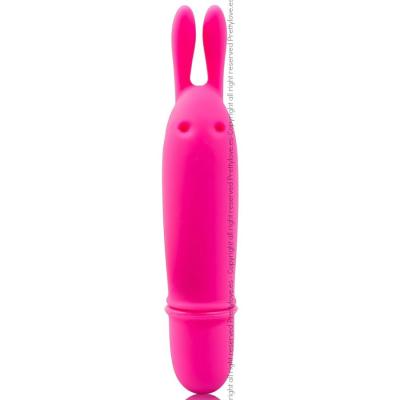 Pretty Love - Flirtation Boyce Stimulierendes Massager 2